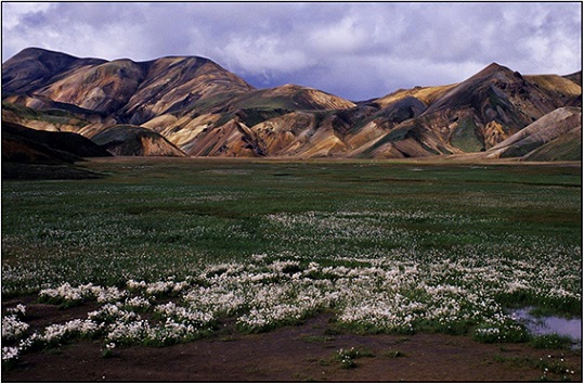 „Landmannalaugar“