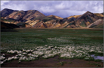 „Landmannalaugar“