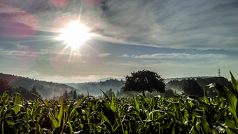 „Morgenstunde“